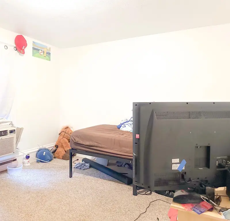 Picture 19