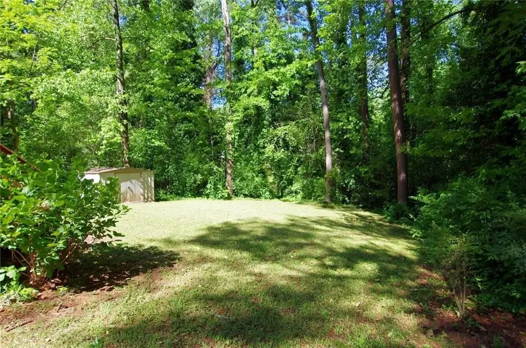 Picture 12