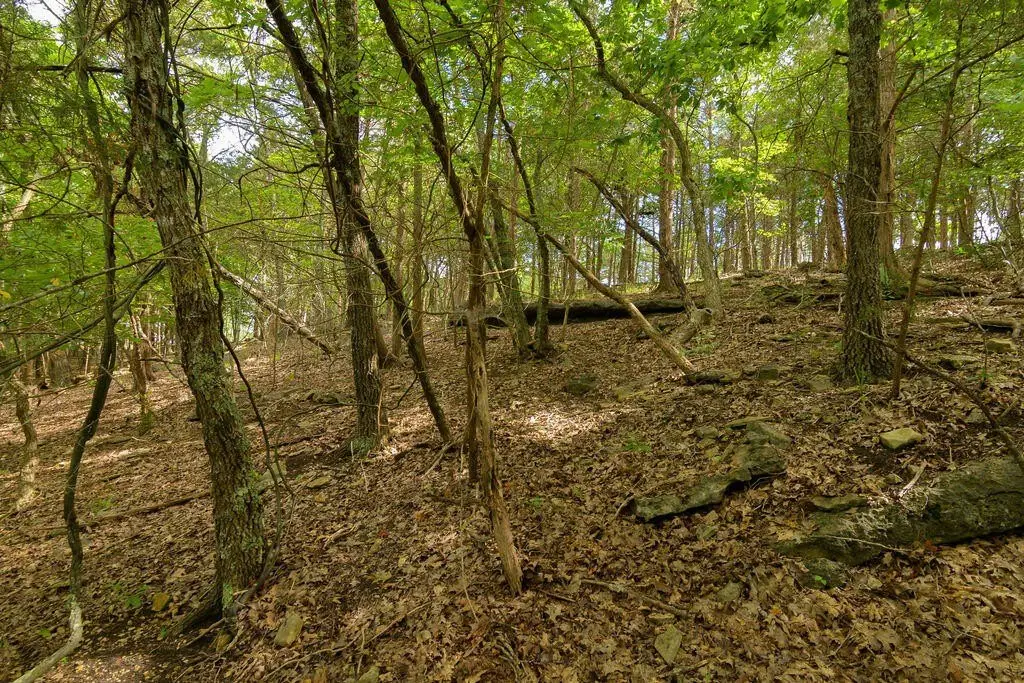 Picture 18