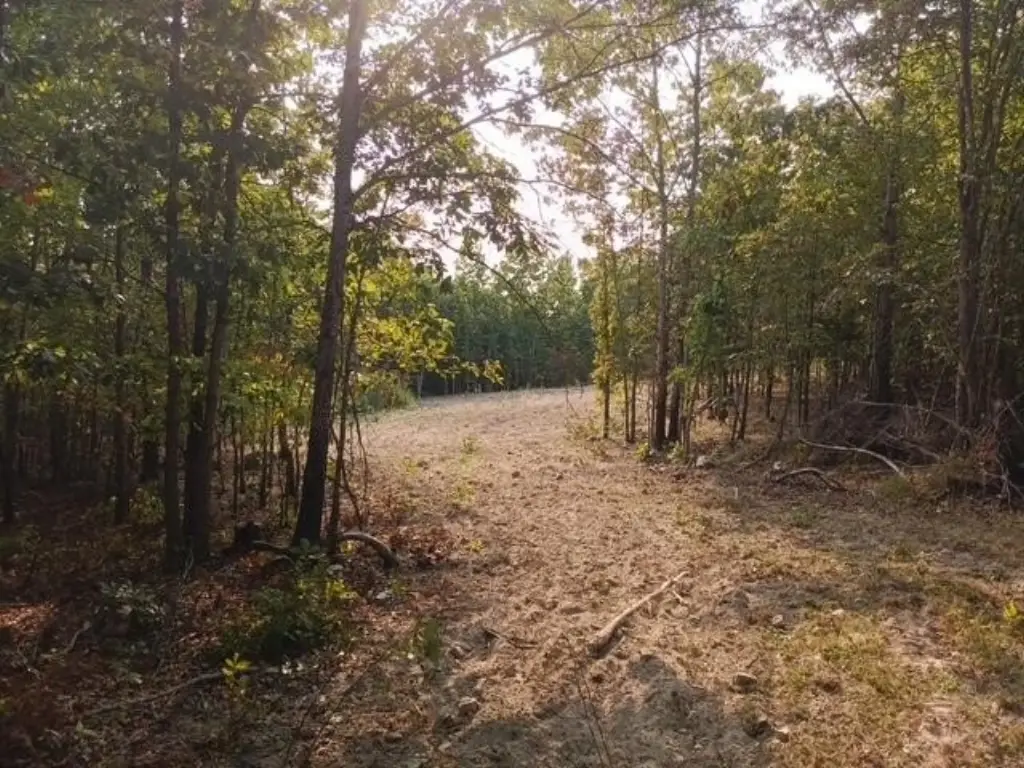 Picture 4