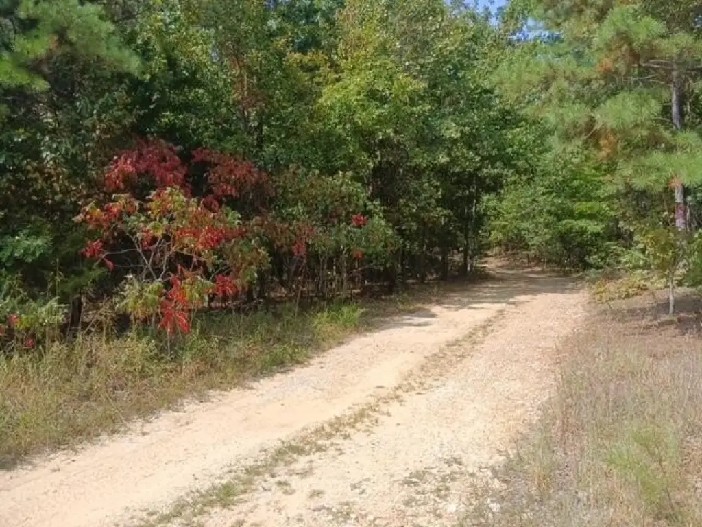 Picture 2