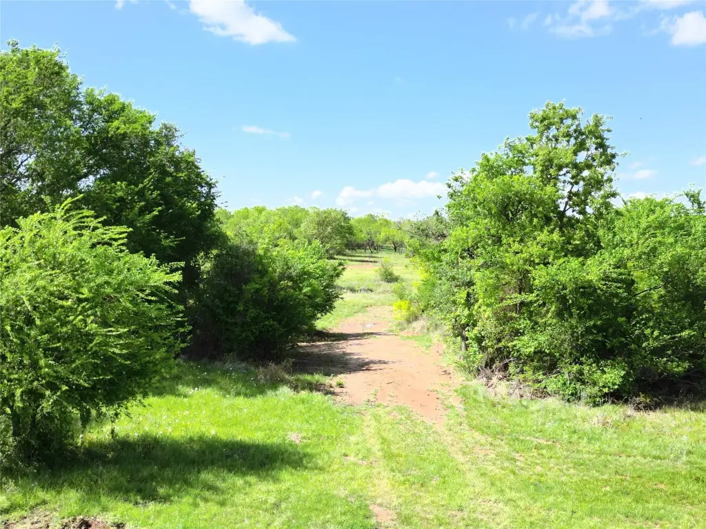 Picture 25