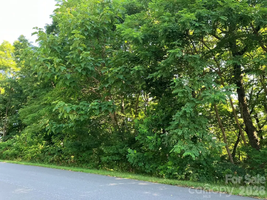 Picture 14