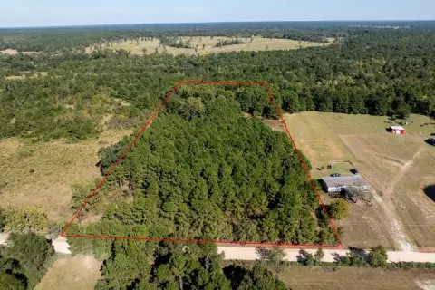 Unrestricted Wooded Land in Lovelady