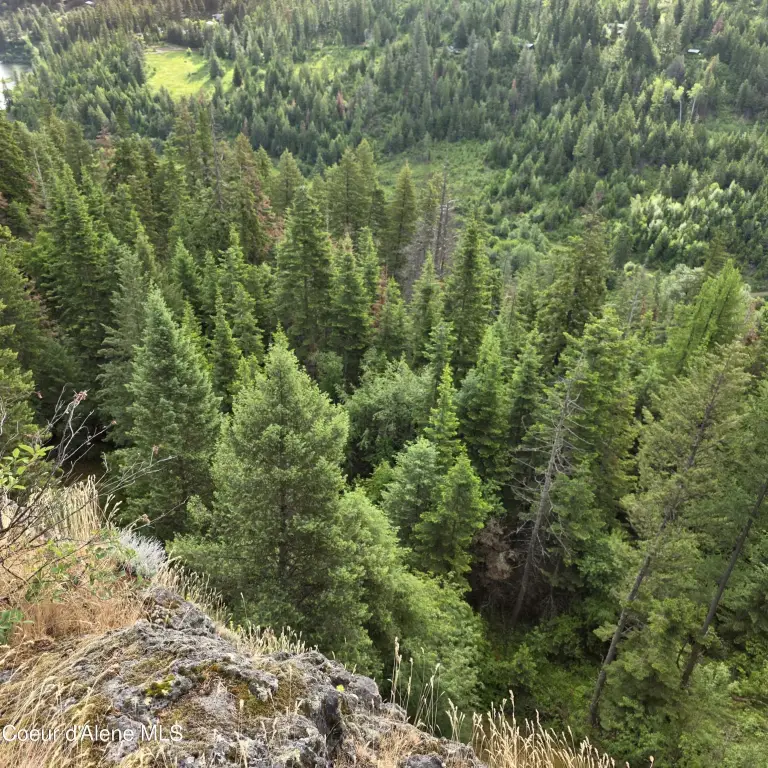 Picture 41