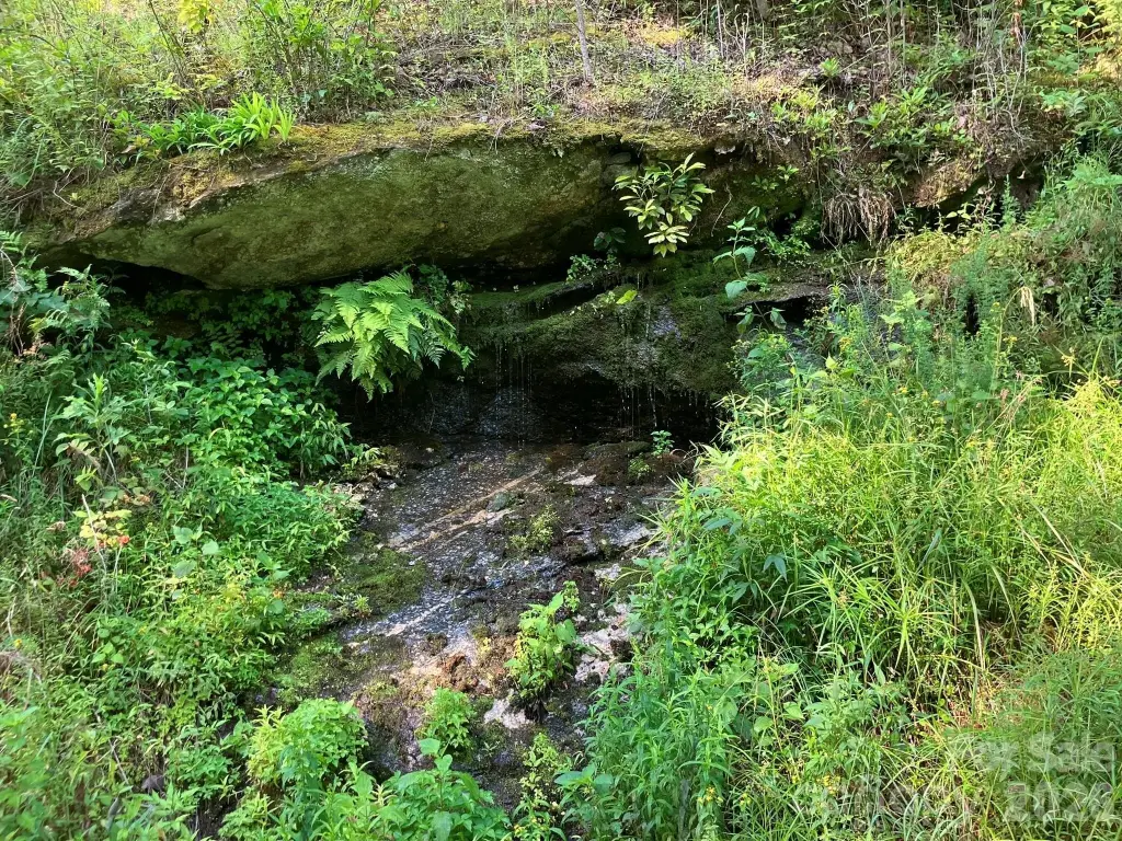 Picture 10