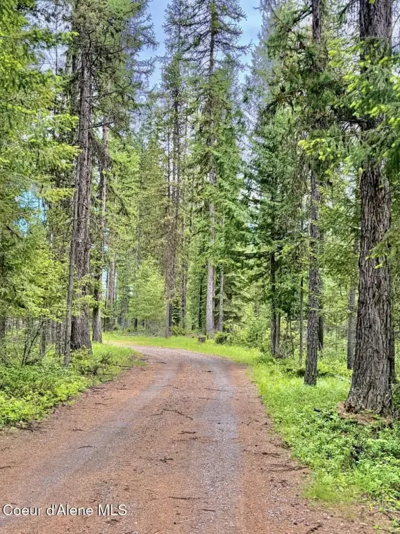 Picture 29