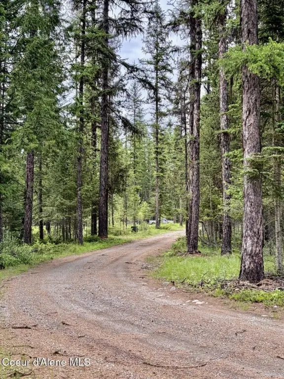 Picture 33
