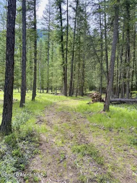 Picture 4