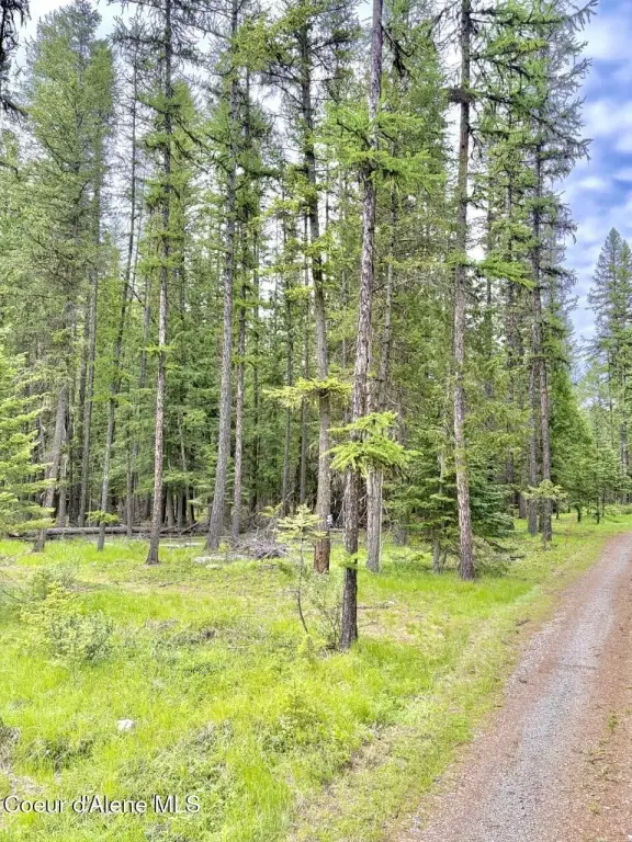 Picture 35