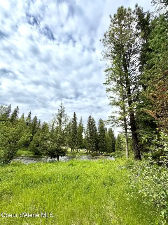Picture 24