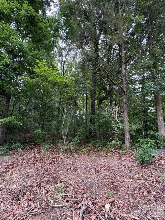 Picture 3
