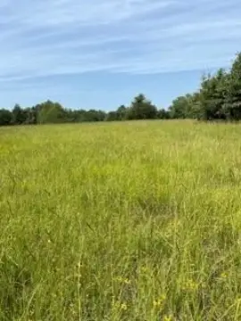 Acreage Land in Tennessee Colony