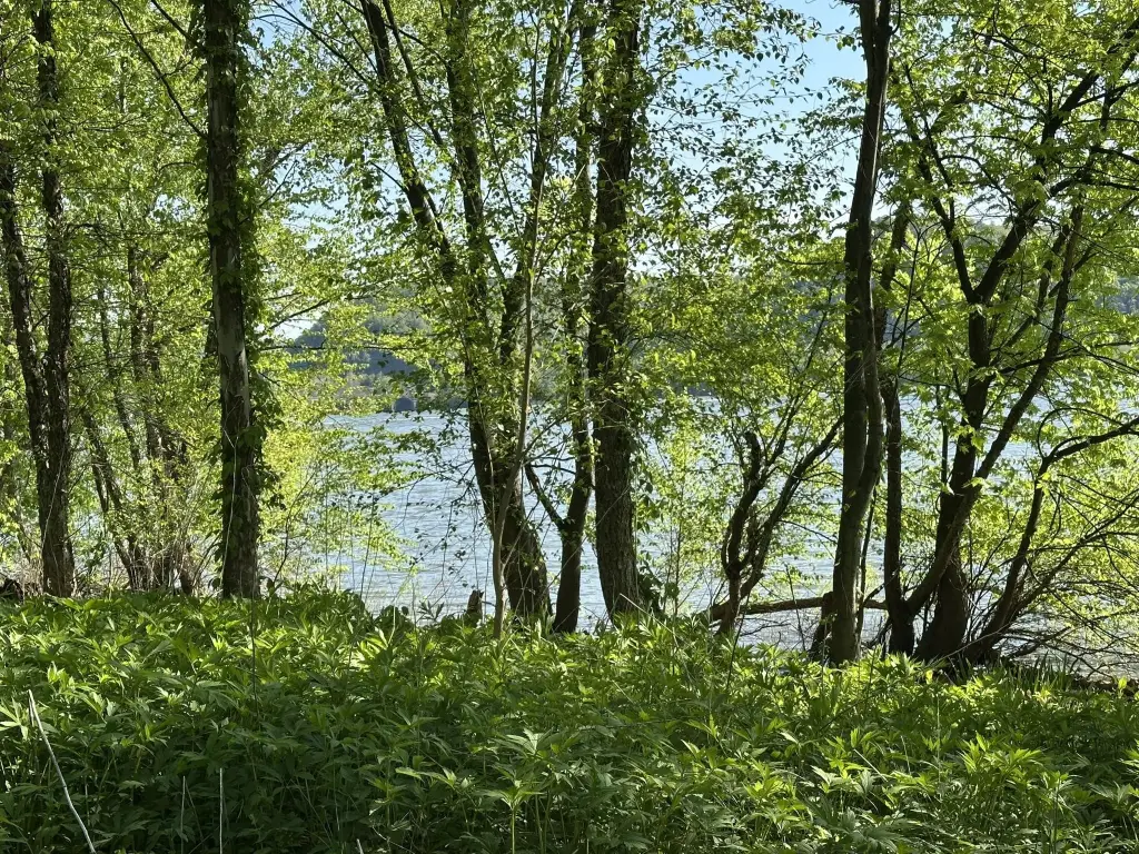 Picture 3
