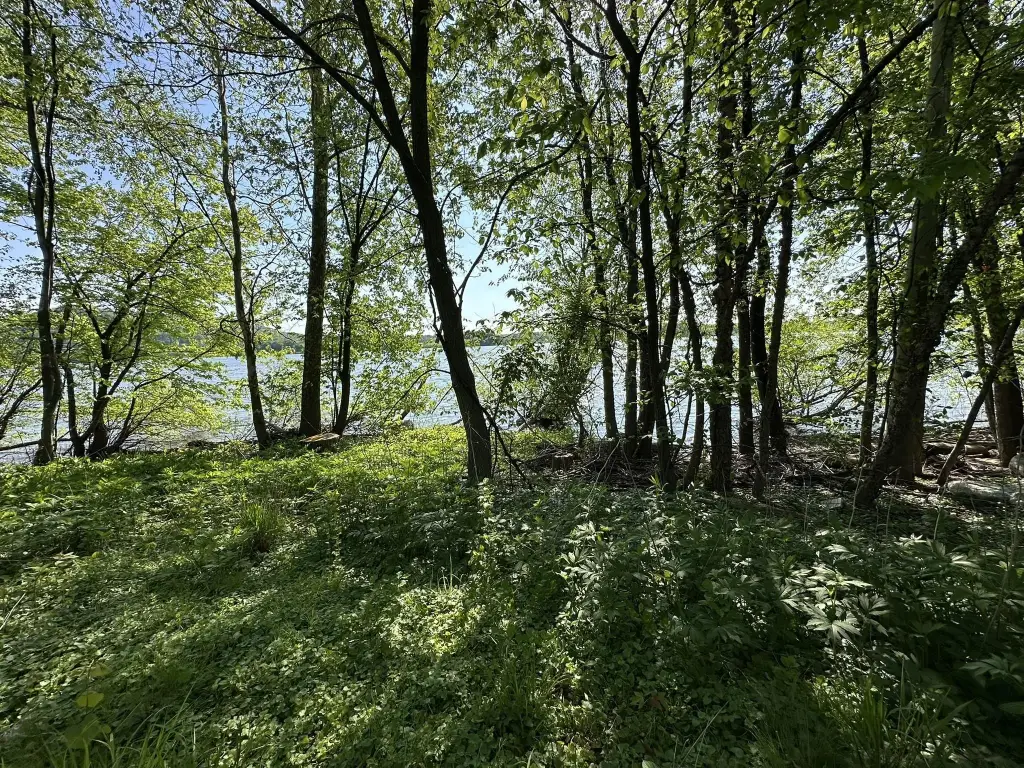 Picture 4