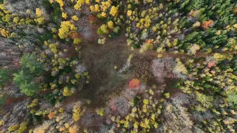 Newburgh Acreage with Stream Frontage