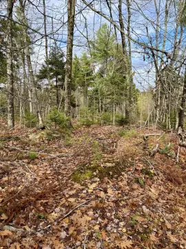 Bucksport Land For Sale