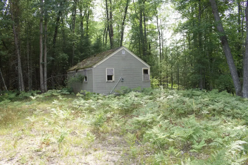 Picture 9