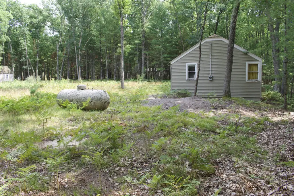 Picture 8