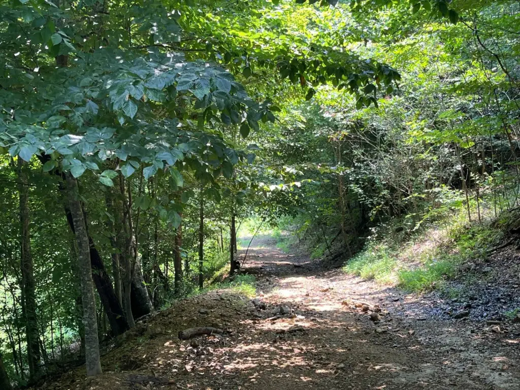 Picture 23