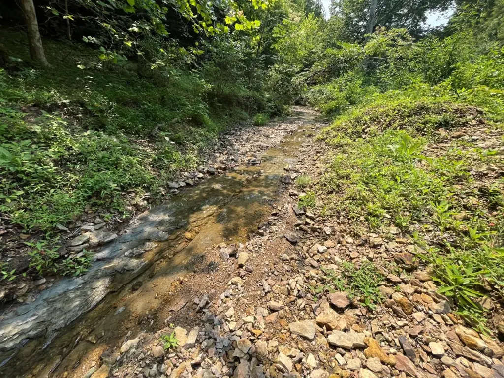 Picture 30