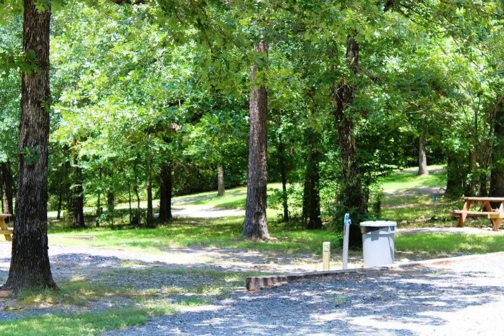Picture 29