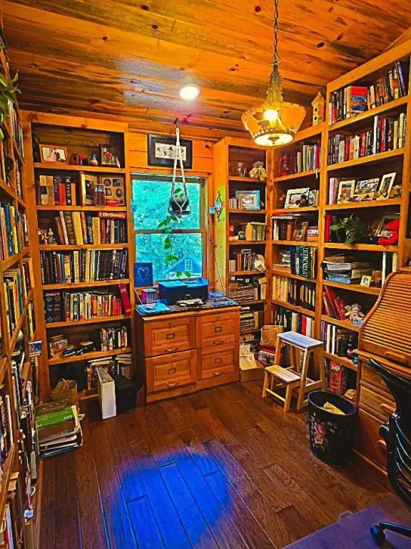 Picture 6