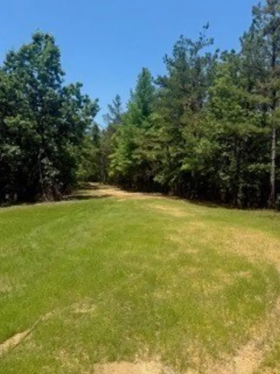Picture 11