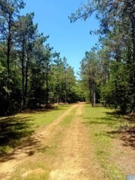 Picture 17