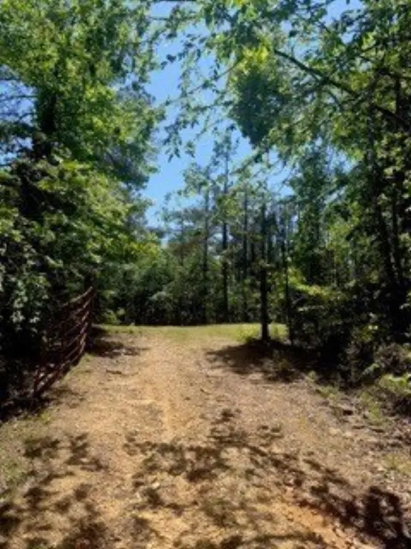 Picture 4