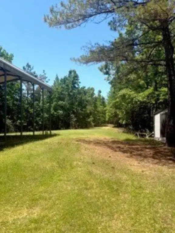Picture 14