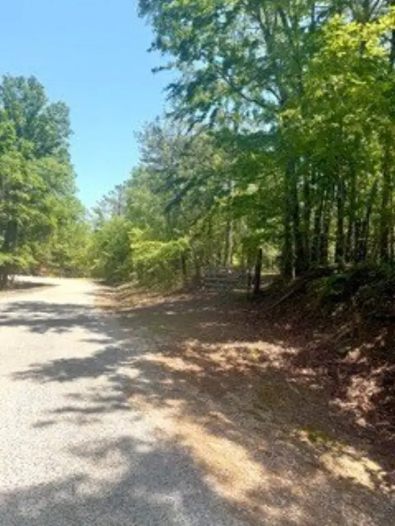 Picture 3