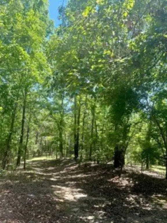 Picture 18