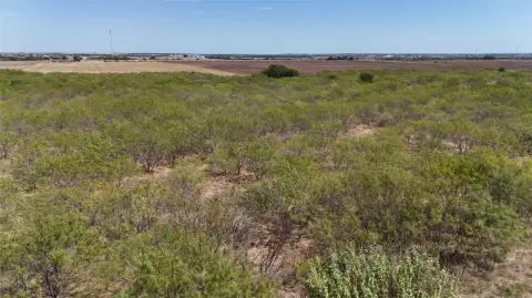 Agricultural Land with Road Frontage