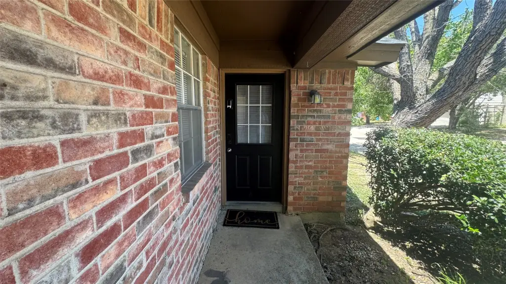 Picture 5