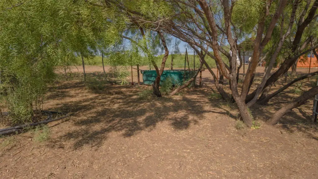 Picture 23