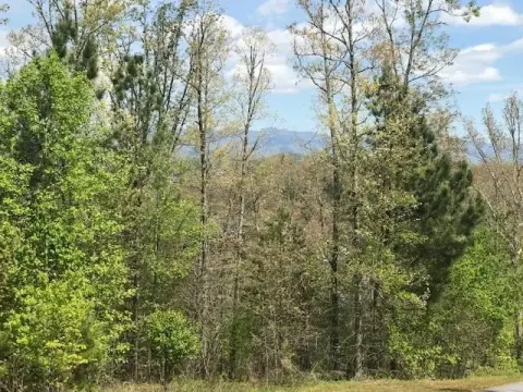Mountain View Lot in Murphy