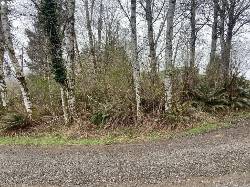 Picture 8