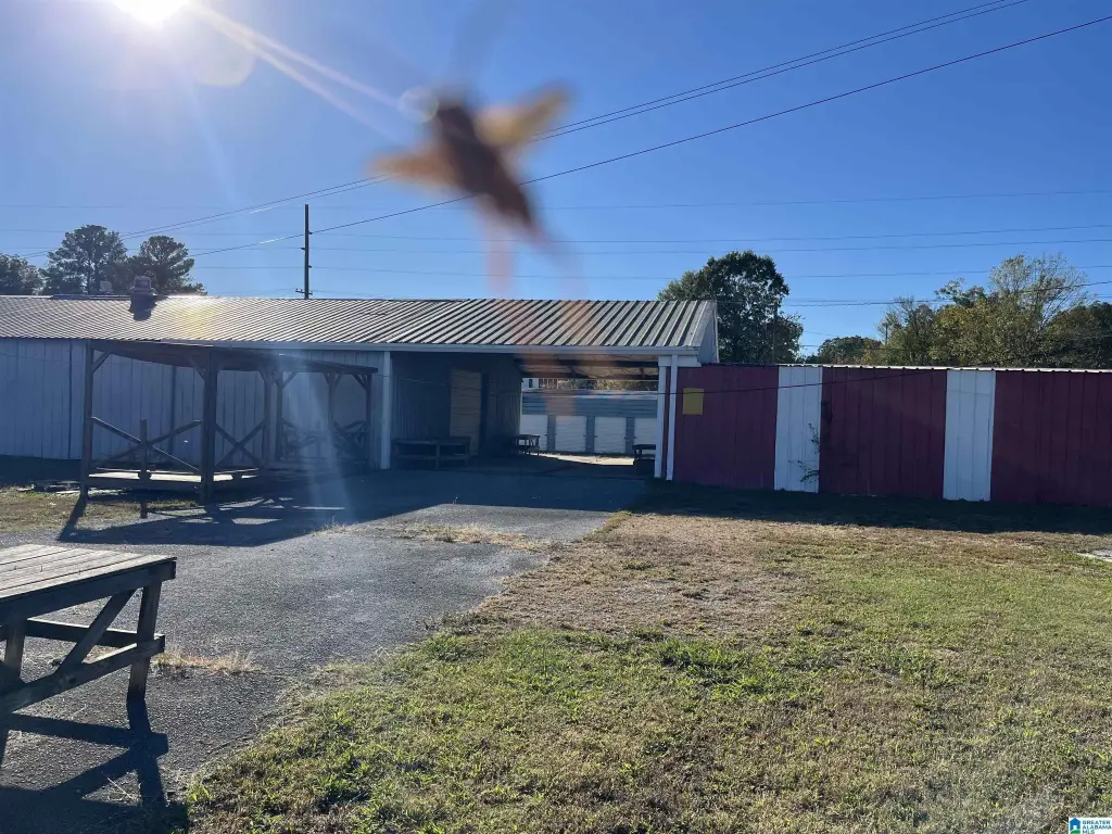 Picture 25