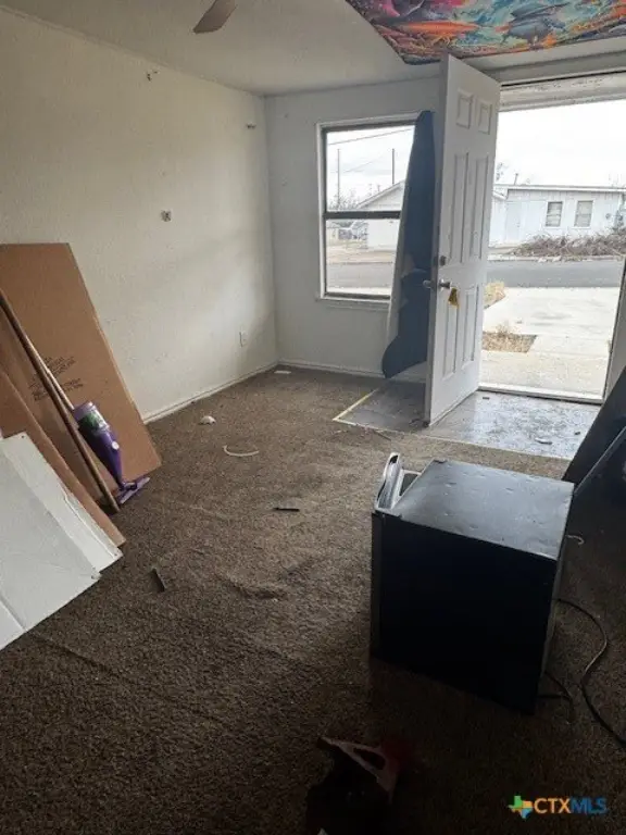 Picture 17