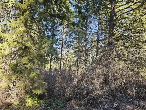 Kettle Falls Timbered Acreage Parcel