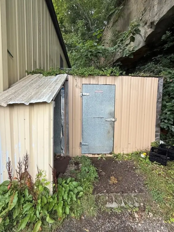 Picture 14