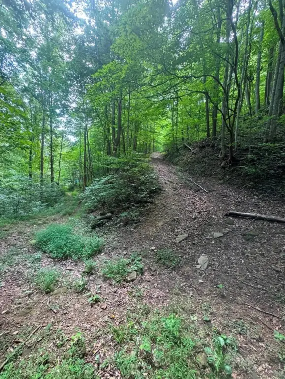 Picture 11