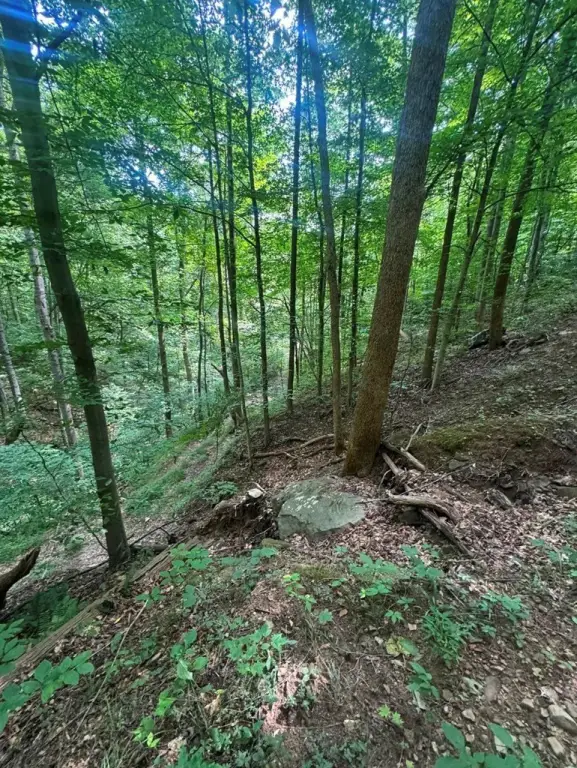Picture 17