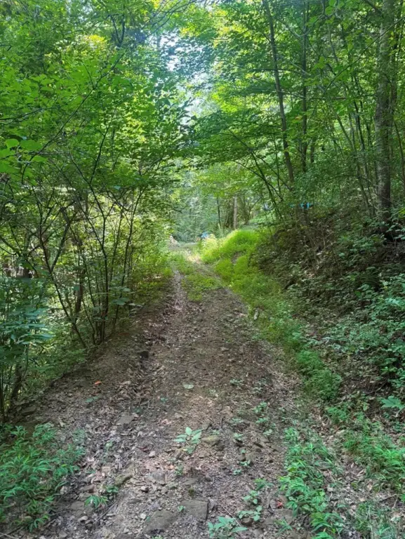 Picture 18