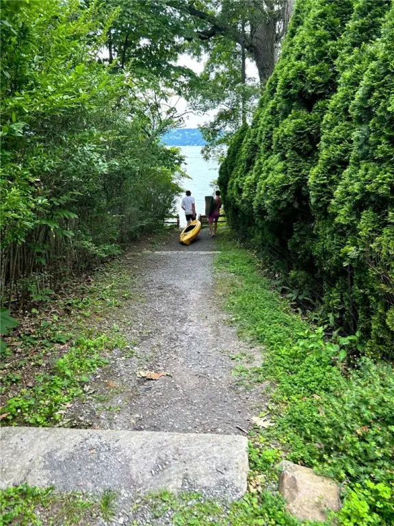 Picture 2