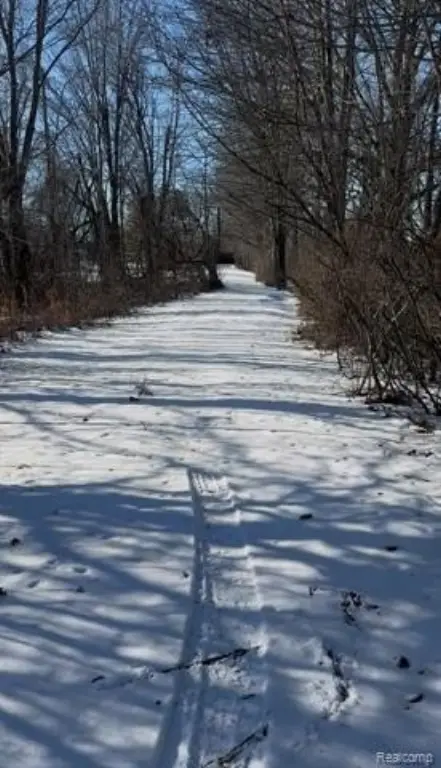 Picture 4