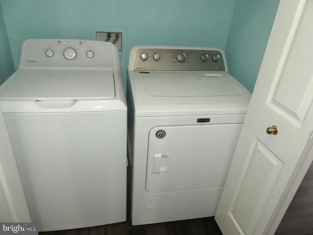 Picture 24