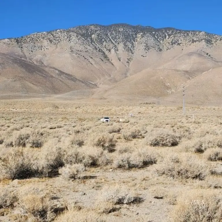 Picture 10