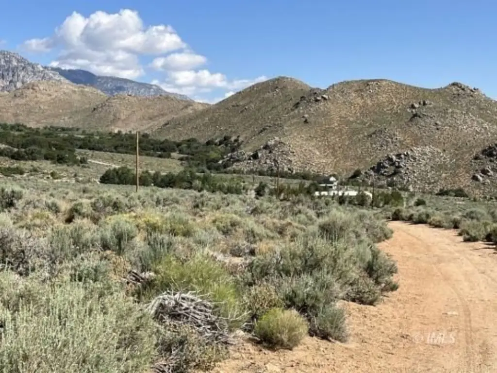 Picture 8